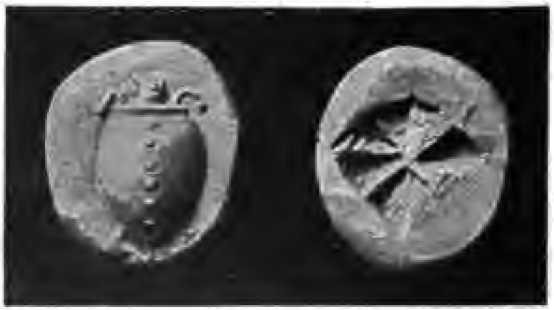 انجیر. 11-12. Stater of Pheidon، پادشاه آرگوس و Ægina، حدود. 700 قبل از میلاد; نقره اي؛ وزن 194 گرم
