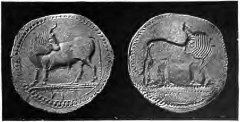 انجیر. 17-18.-Stater of Sybaris; نقره اي؛ وزن 126 گرم